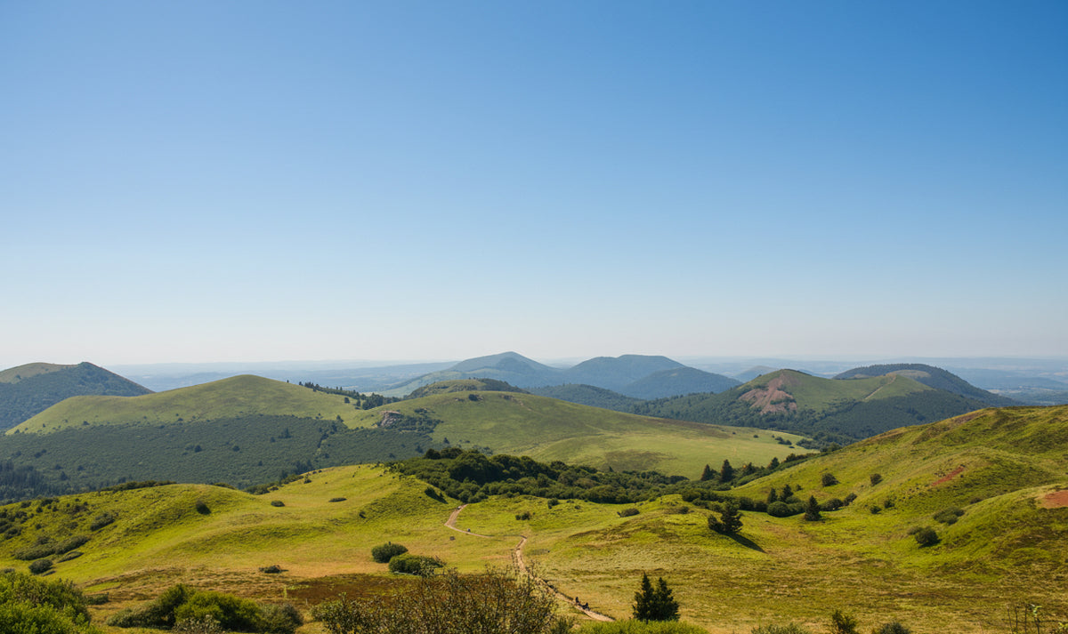 Photo de la chaîne du Puy-de-Dôme (région Auvergne-Rhône-Alpes) avec un ciel bleu. Les montagnes sont visibles jusqu'à l'horizon. Des arbres et des sapins sont présents dans le paysage verdoyant. Photo prise et réalisée par Com' de l'O studio. 